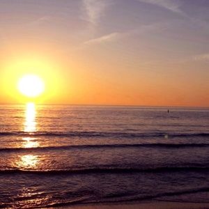 Meet your Posher, Dani